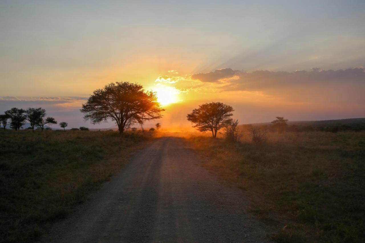 Osero Serengeti Luxury Tented Camp Banagi Екстер'єр фото